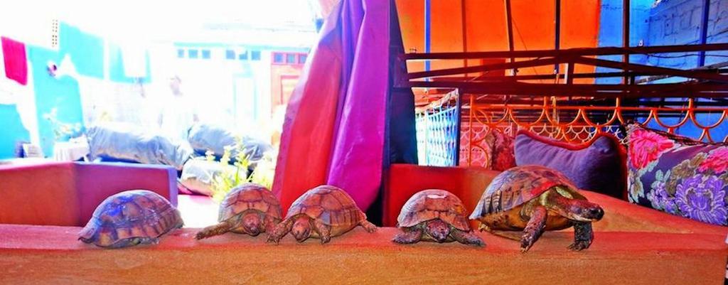 マラケシュ Rainbow Marrakechゲストハウス エクステリア 写真